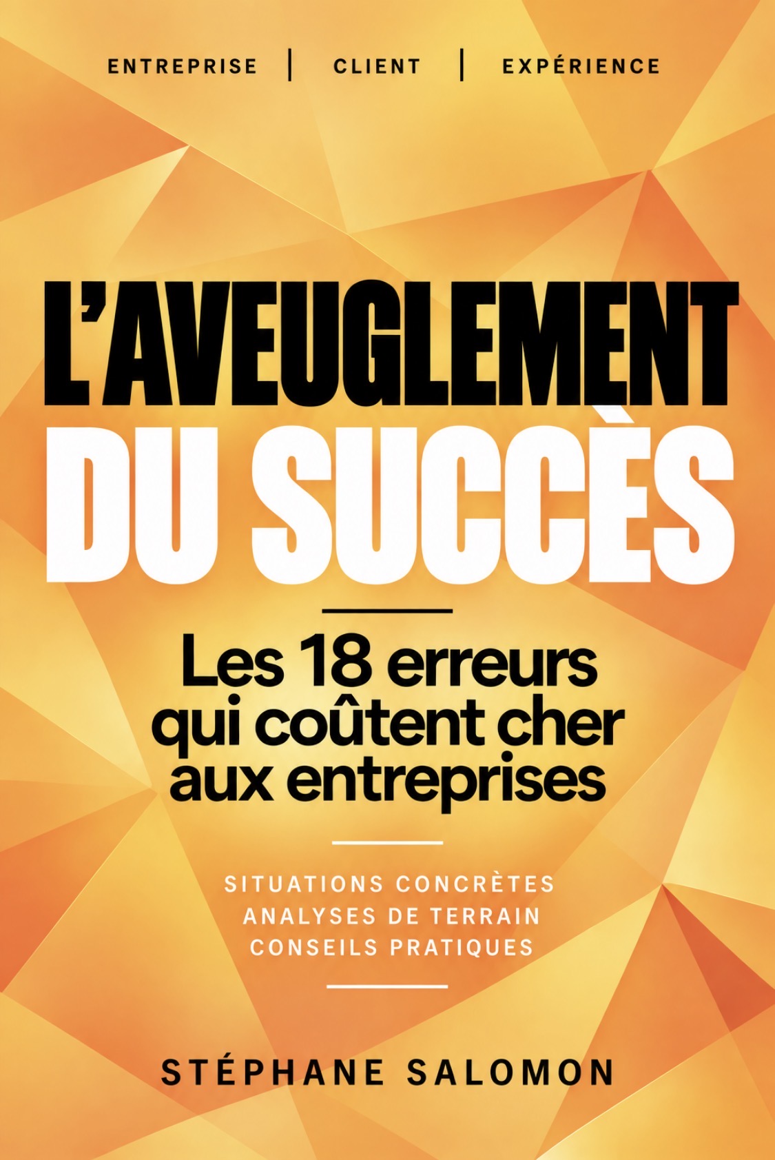 Couverture de L’Aveuglement du succès de Stéphane Salomon